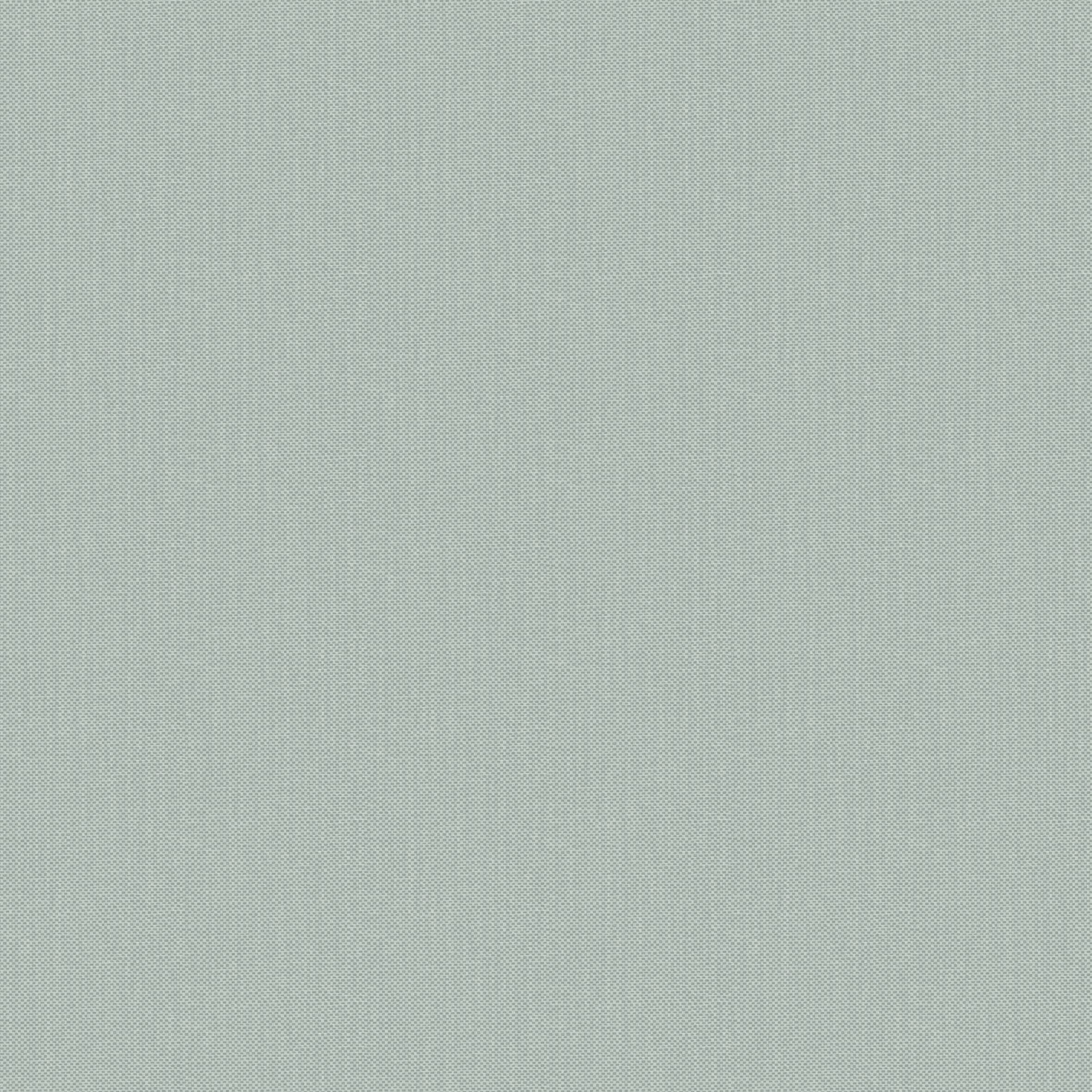 NAE2101566007