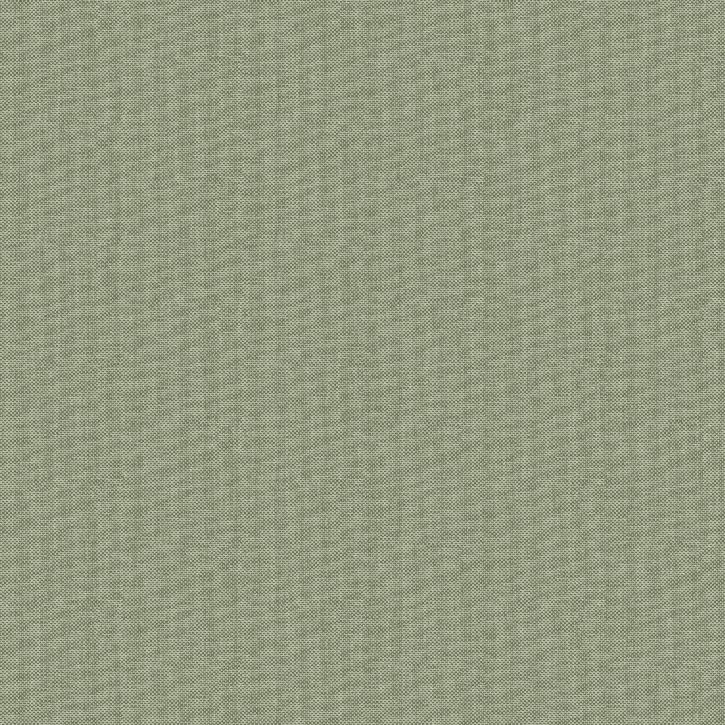 NAE2101567311