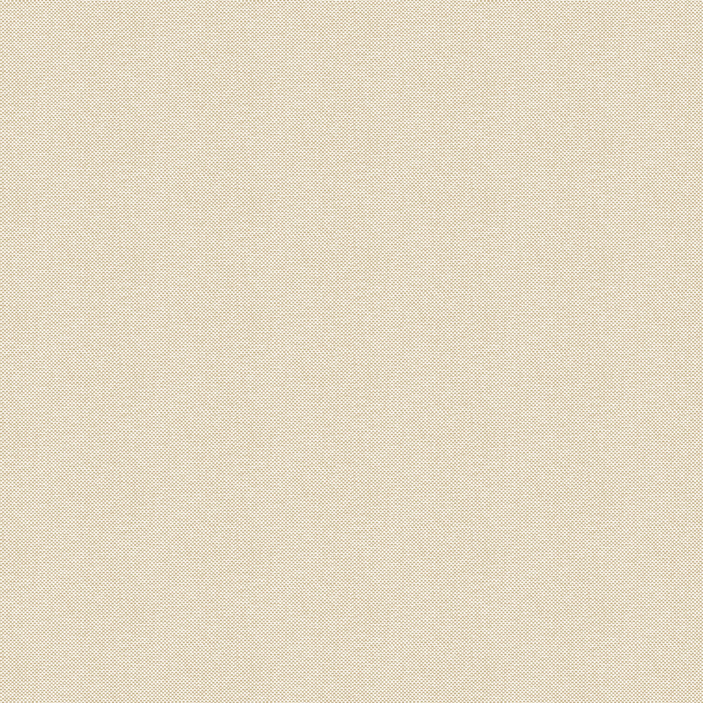 NAE2101570026